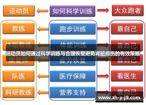 运动员如何通过科学训练与合理恢复避免肾脏损伤的有效策略