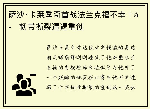 萨沙·卡莱季奇首战法兰克福不幸十字韧带撕裂遭遇重创